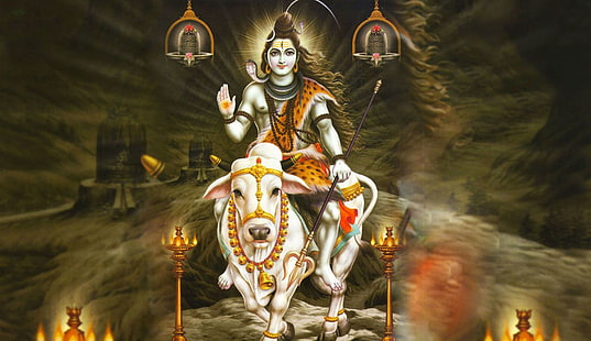 Astrologer